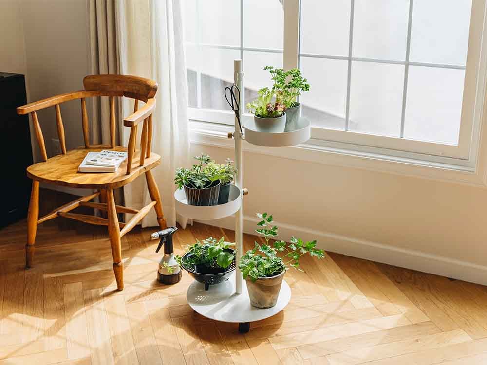 ドローアライン020 Move Rodとゼラニウムのフラワーポット