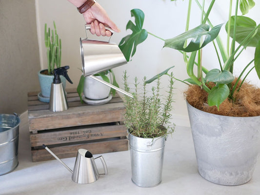 SALUSブランドのステンレス製ミッテジョーロ900mlと400mlが並んだキッチン用静物写真