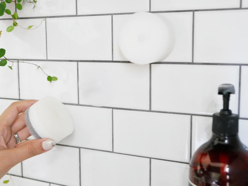 マーナ POCO吸盤付き洗面スポンジがタイルに取り付けられている