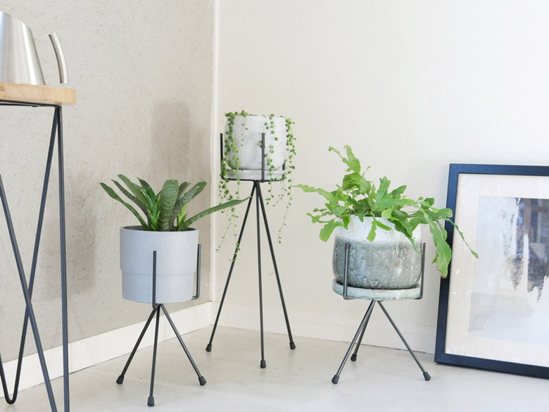ポッシュリビングのトライポッドスタンドと鉢植えセット