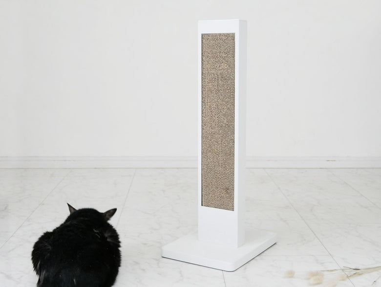 スチール製猫の爪とぎタワーに座る短毛猫