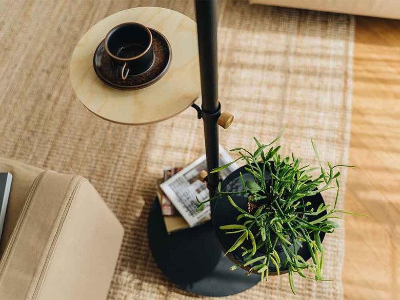 Move Rodと共に配置された家具や植物の室内写真