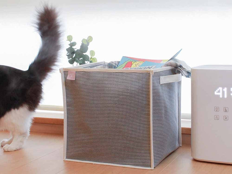 木材の床に置かれたピアットのバスケットと猫