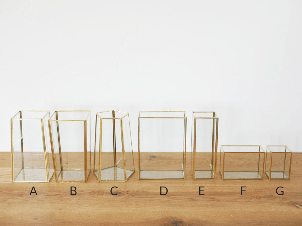 POSH LIVINGのソリッド仕上げ真鍮とガラスのフレームフラワーベース。エレガントなデザインで花を美しく飾ります。