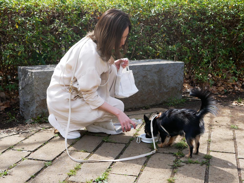 Horn Please MADEのヴィーガンレザー製小型犬用ハーネス、約30×40cmの胴回りサイズ