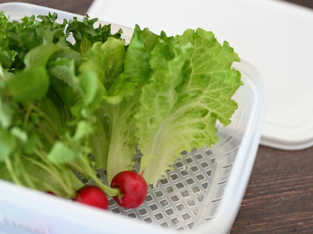 《単品》【EMBALANCE/エンバランス】電子レンジにも使える 食材を美味しく保つ保存容器 レクタングルコンテナ