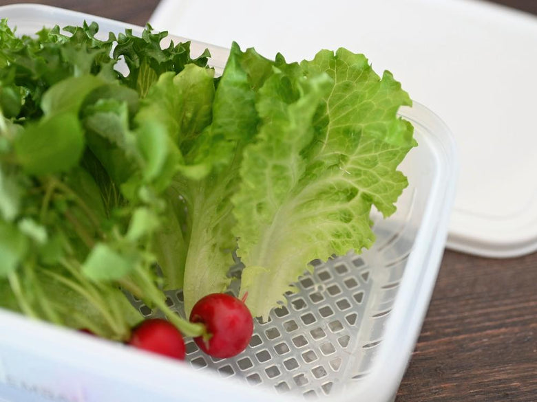 《単品》【EMBALANCE/エンバランス】電子レンジにも使える 食材を美味しく保つ保存容器 レクタングルコンテナ