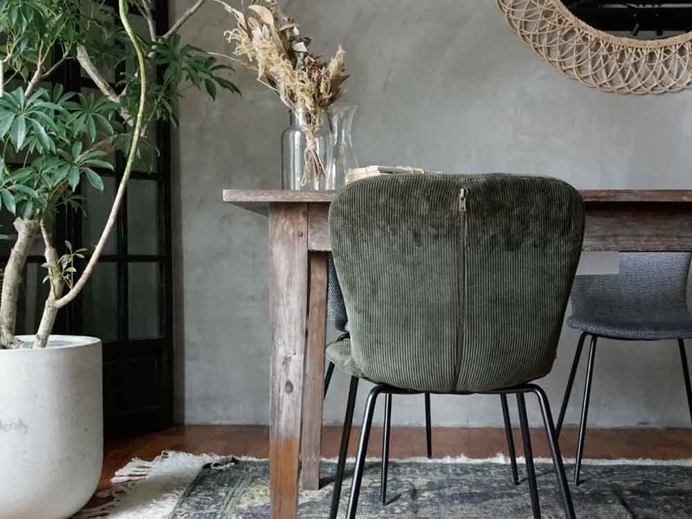 アデペシュのジップデザインチェアと観葉植物