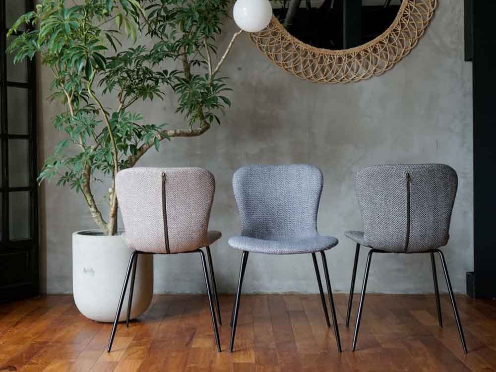 アデペシュのジップデザインチェアと観葉植物が配置された室内