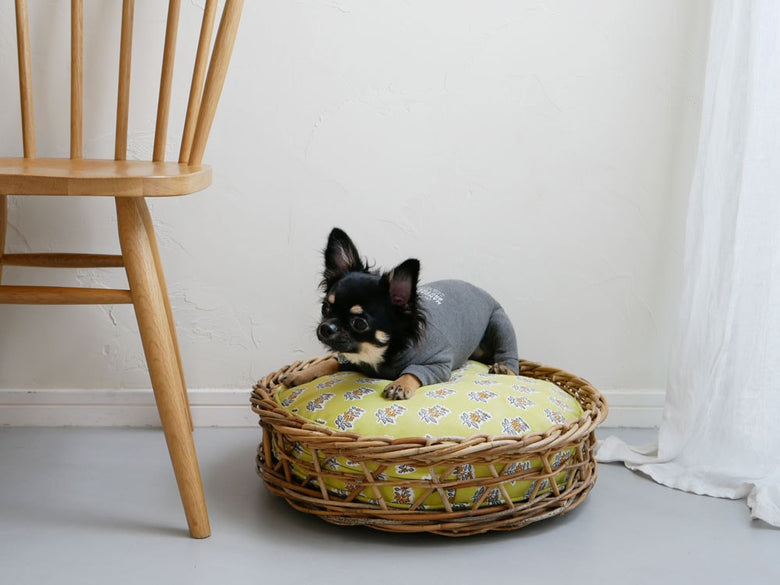 ホーンプリーズ製アラログバスケットに犬が寝ている