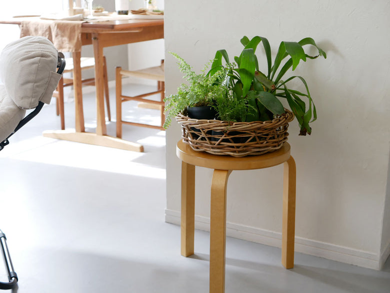 ホーンプリーズ製アラログシャロウバスケット