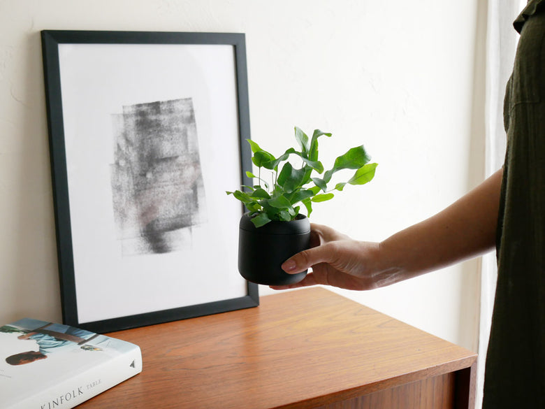 藤田金属製のハチ型プラントポット