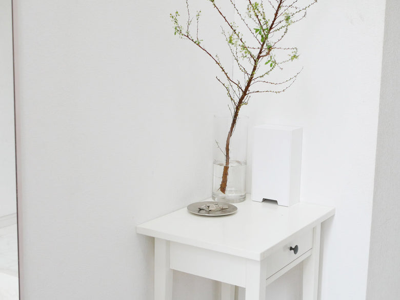 towerの2wayスリムマスク収納ケース