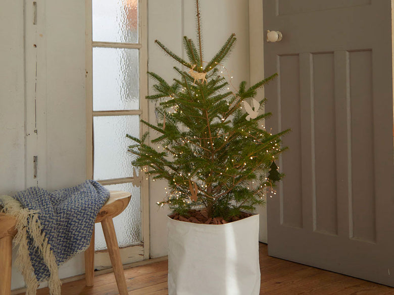 Horn PleaseのLEDワイヤーライト「ブランチ グロート」。おしゃれなデザインで1.5mと5mの長さが選べ、デザインボックスに収納された商品画像。