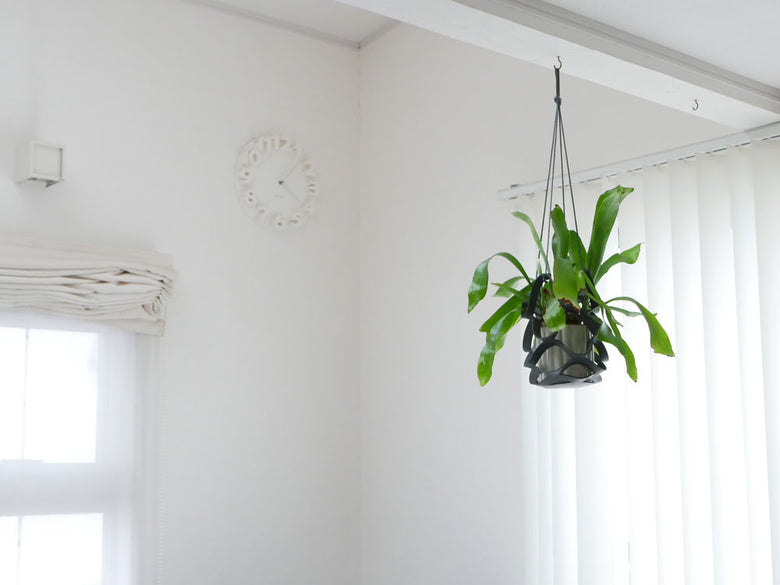 Horn Please MADEのリサイクルガラス製ドーム容器