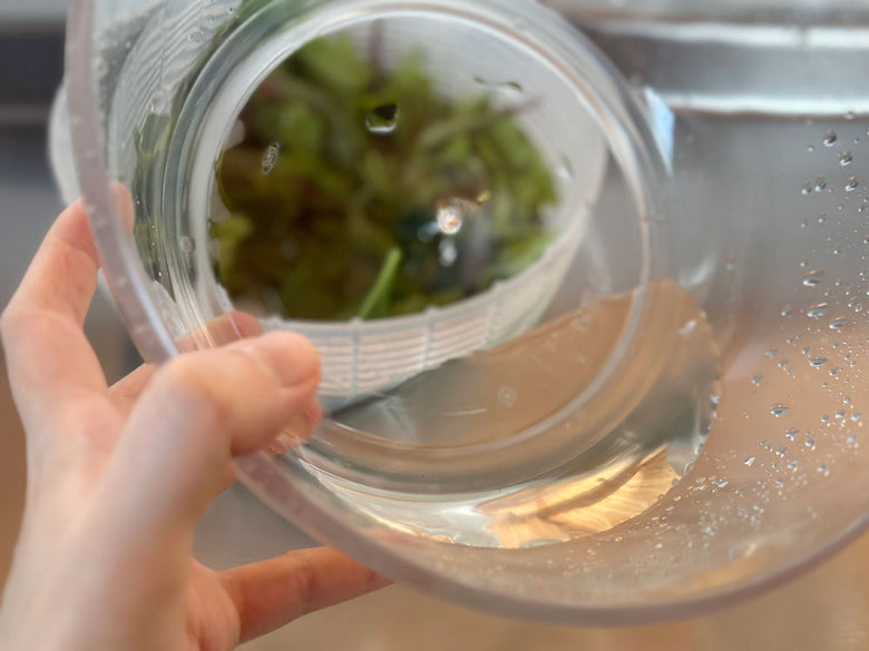 OXO/オクソーの小型クリアサラダスピナー、透明なボウルとステンレス製フタがセットされたキッチン用品