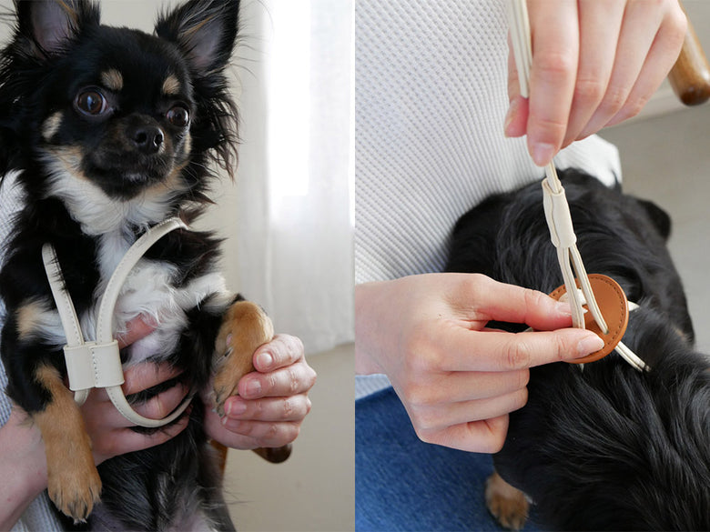 Horn Please MADE製ヴィーガンレザーの小型犬用ドッグリード