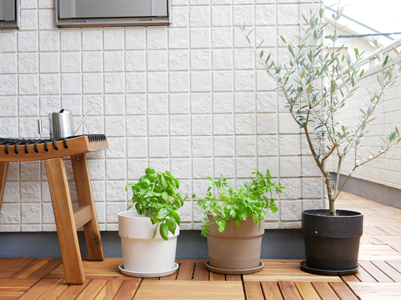 ダルトンのステンレスピッチャー270ml