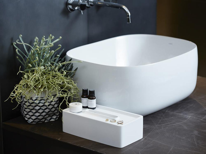 シンクと銀色の蛇口、観葉植物が置かれたバスルーム