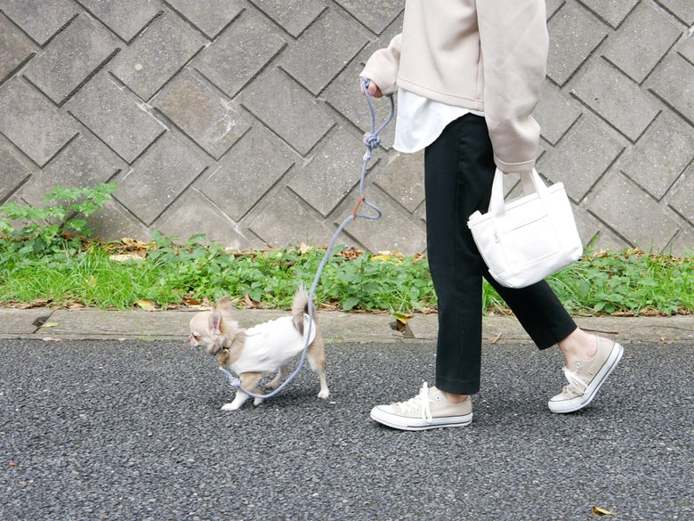 TOOLS FOR THE DOG製のカラフルな手染めドッグリーシュ。丈夫なリードとクリップが小型から中型犬の散歩に最適です。