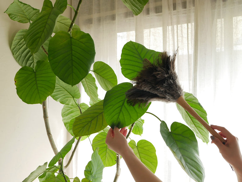 ダルトンブランドのオーストリッチフェザー使いフェザーダスター