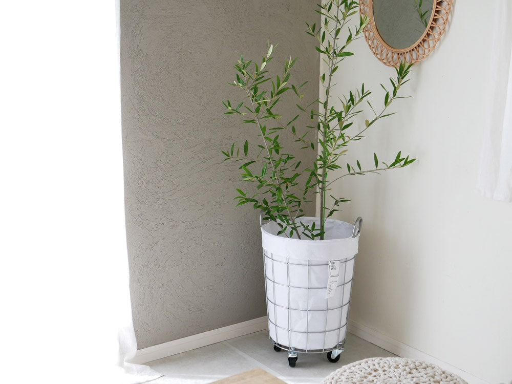 BRIDブランドのスチール製ランドリーストレージ ラウンド33Lと花瓶に飾られたハーブが配置された静物写真