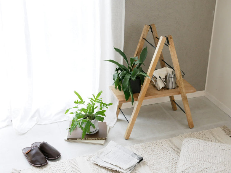 ポッシュリビングのアイアンとマンゴーウッド製ラダーハンガー