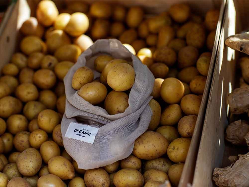 ユコンゴールドやラスセットのじゃがいもが並ぶ写真