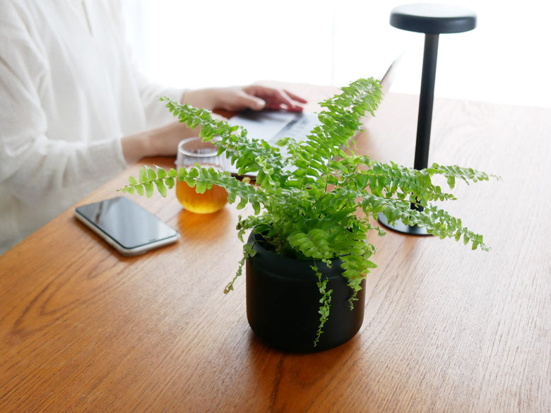 ハチ型の藤田金属製プラントポット