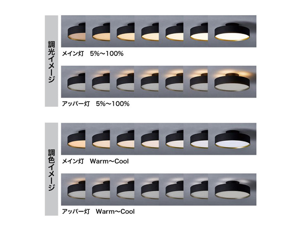 ART WORK STUDIO製Φ36cmグローシーリングランプ