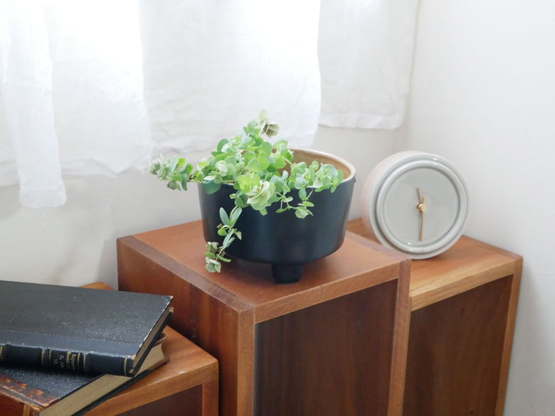 COSTA NOVA RIVIERA フッテッドボウル12cm