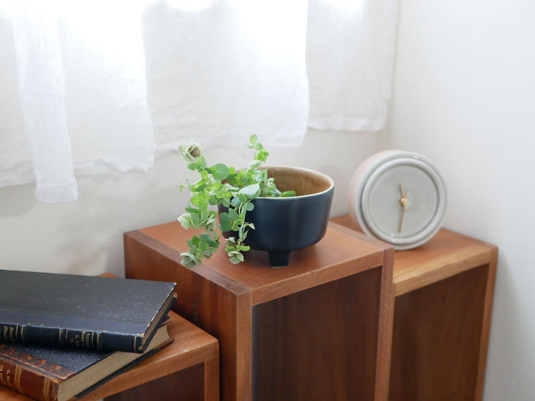 COSTA NOVAのストーンウェアフッテッドボウル