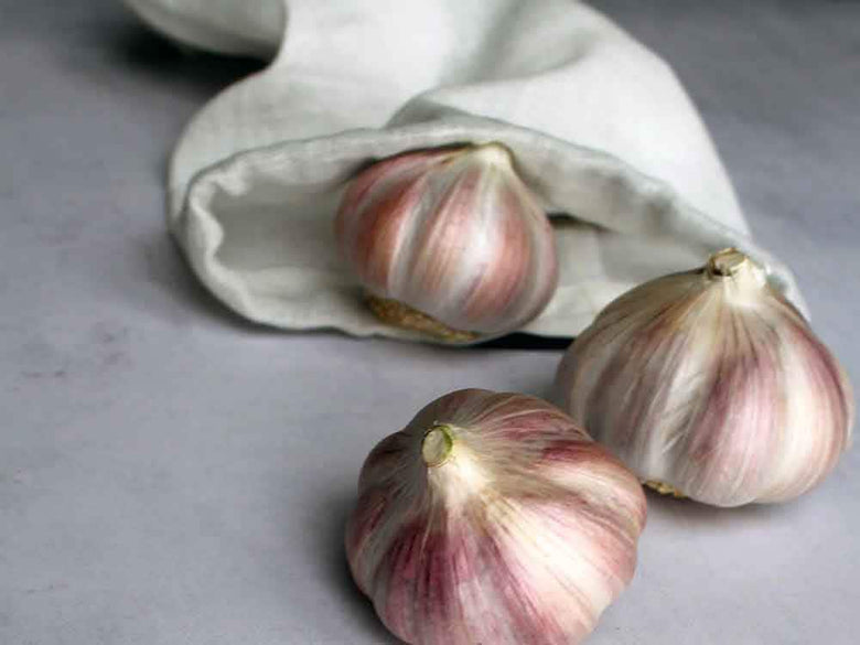 THE ORGANIC COMPANYのオールパーパスバッグセット