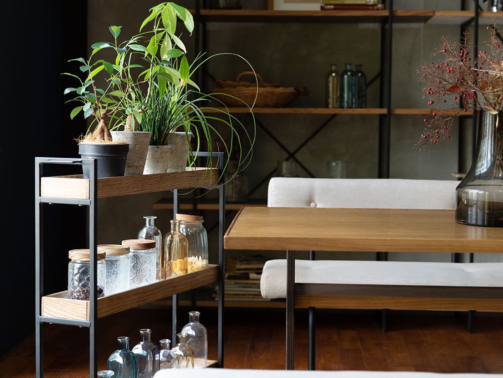 アデペシュPOLムービングワゴンと木製棚に観葉植物が配置された室内インテリア