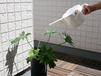 室内用の花鉢に植えられたハーブとゼラニウムの鉢植え
