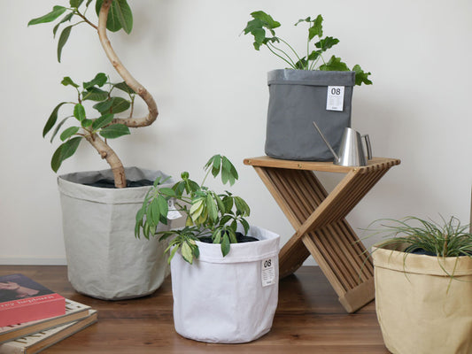 撥水加工籐バスケットに入ったハウスプラントと花鉢