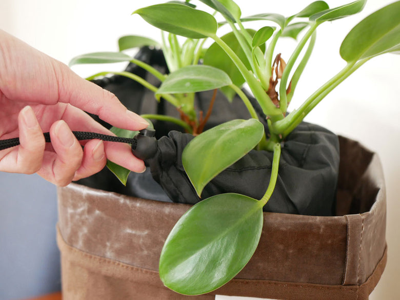 BRIDの土が隠せるプランツカバーを使用した室内の観葉植物