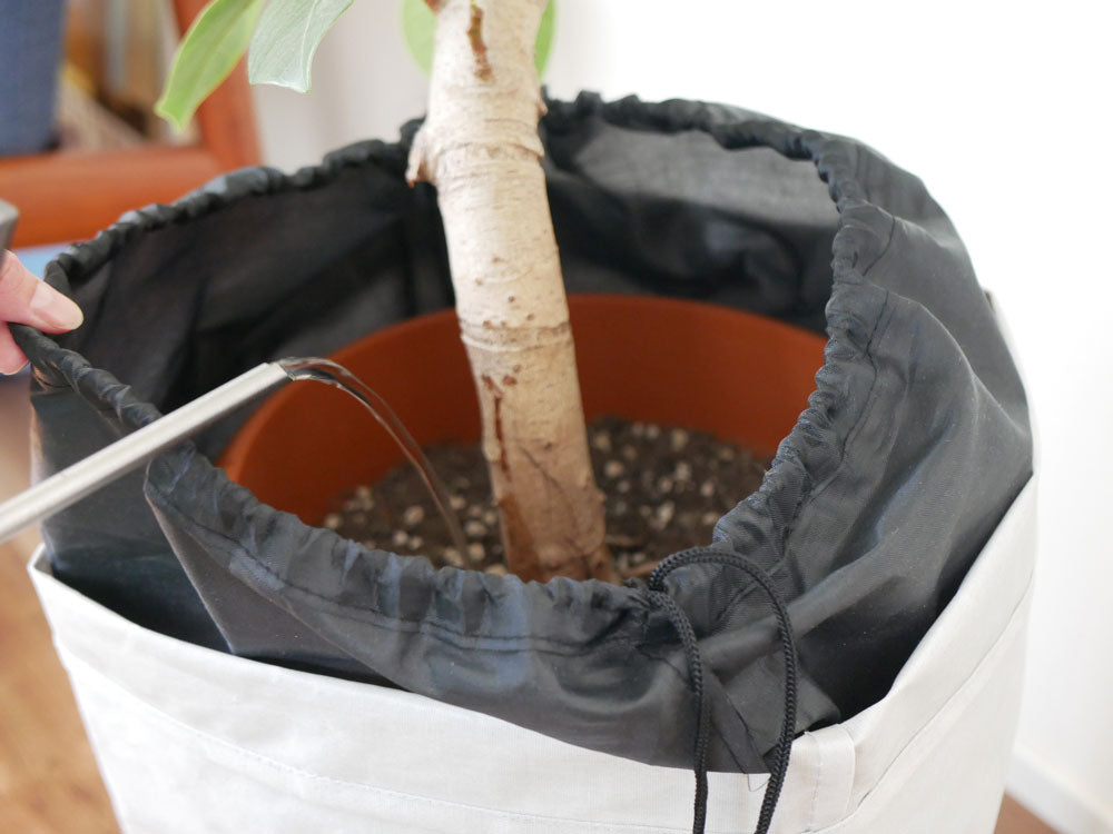 【BRID/ブリッド】土が隠せるプランツカバーを装着した観葉植物の鉢