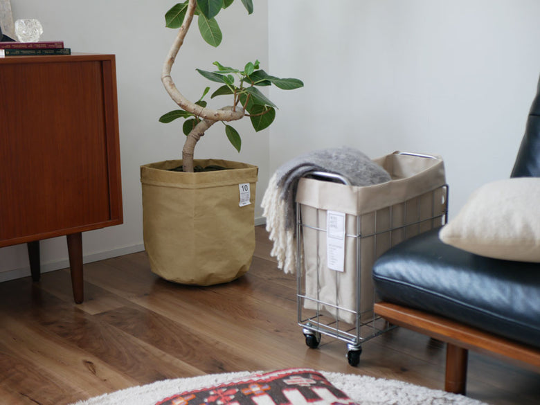 リビングルームの木製フロアに置かれた植木鉢を覆う【BRID/ブリッド】土が隠せるプランツカバー