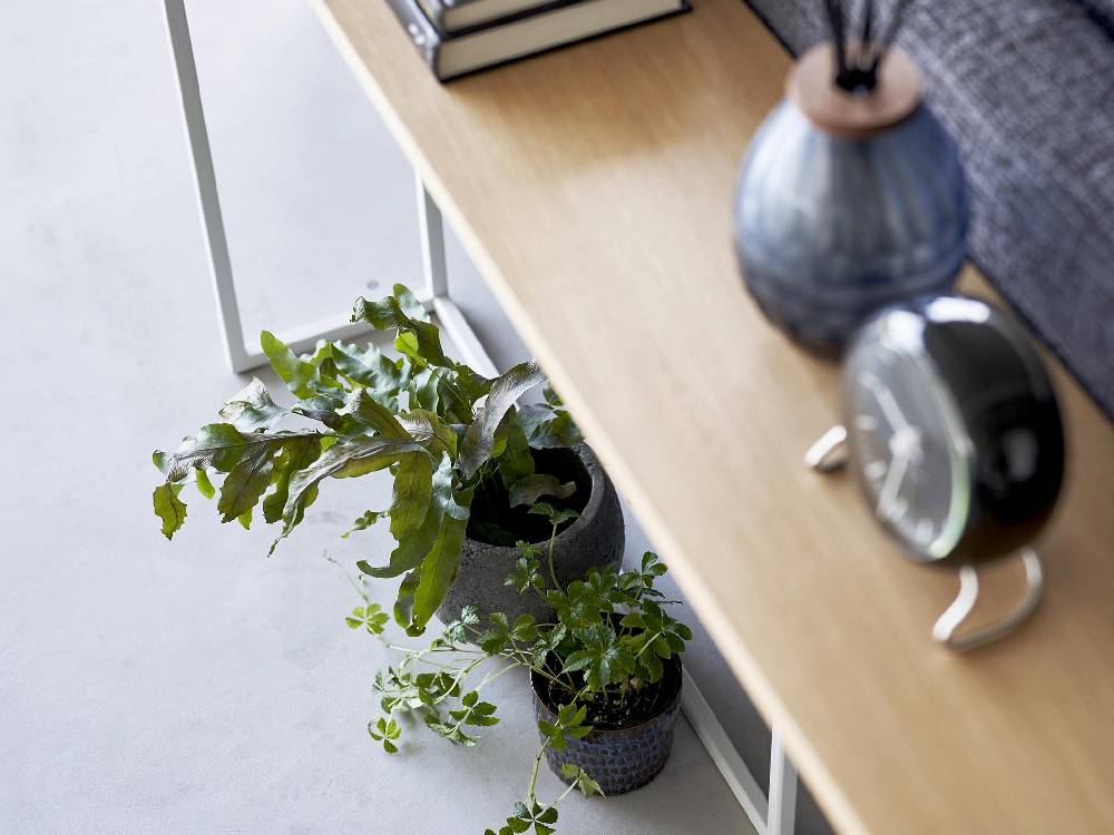 タワーシリーズのソファー裏コンソールテーブルに観葉植物や花瓶が飾られたリビングルームのインテリア