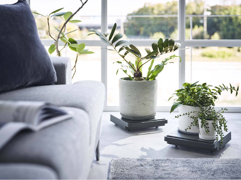 ポリプロピレン製のタワー型自立台車の上に花鉢や室内植物が配置された静物写真