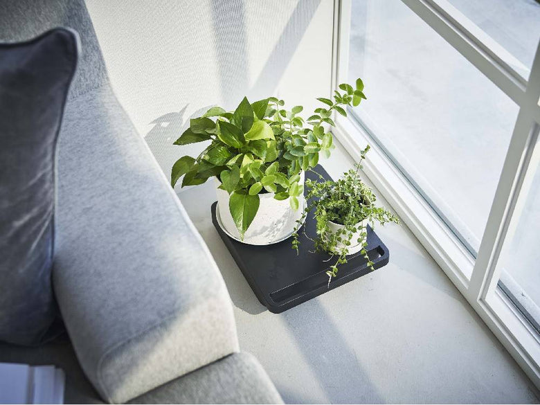 【tower/タワー】自立型正方形台車に花鉢とアジサイが配置されたリビングルームの様子