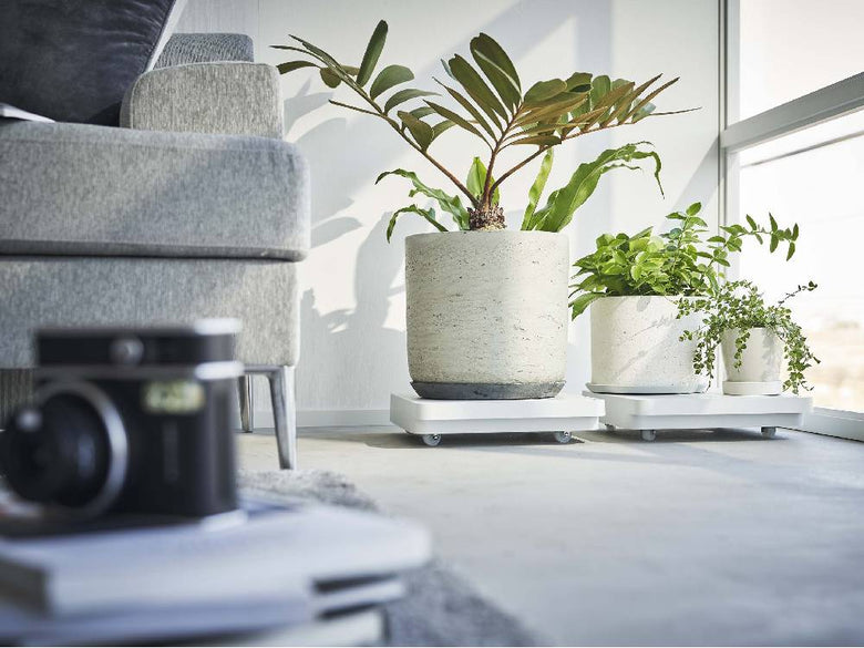 タワータワーの自立正方形台車に花鉢と観葉植物が配置された静物写真