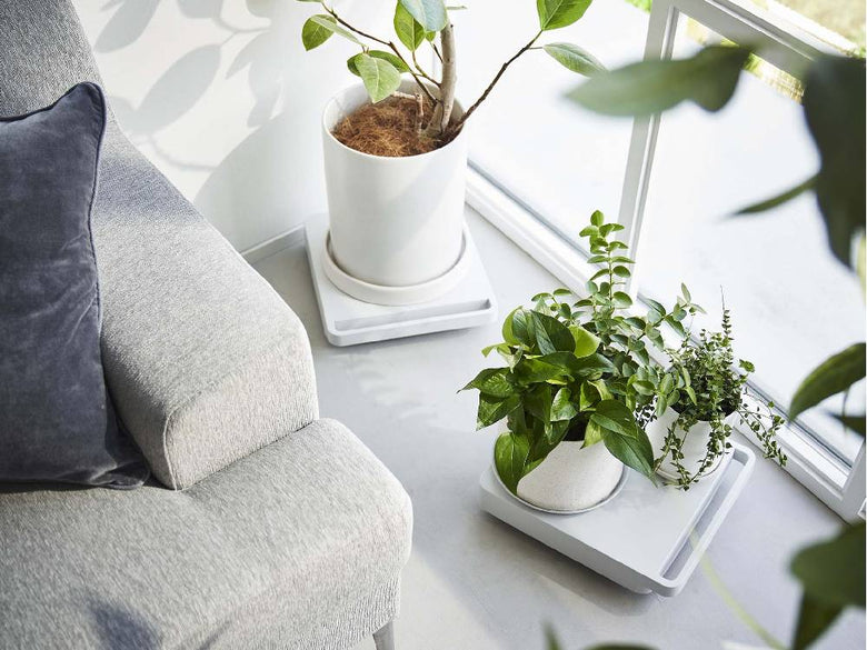 リビングルームに配置されたタワーカートと花鉢、観葉植物、花瓶、ランプ、クッションなどのインテリアが調和している様子