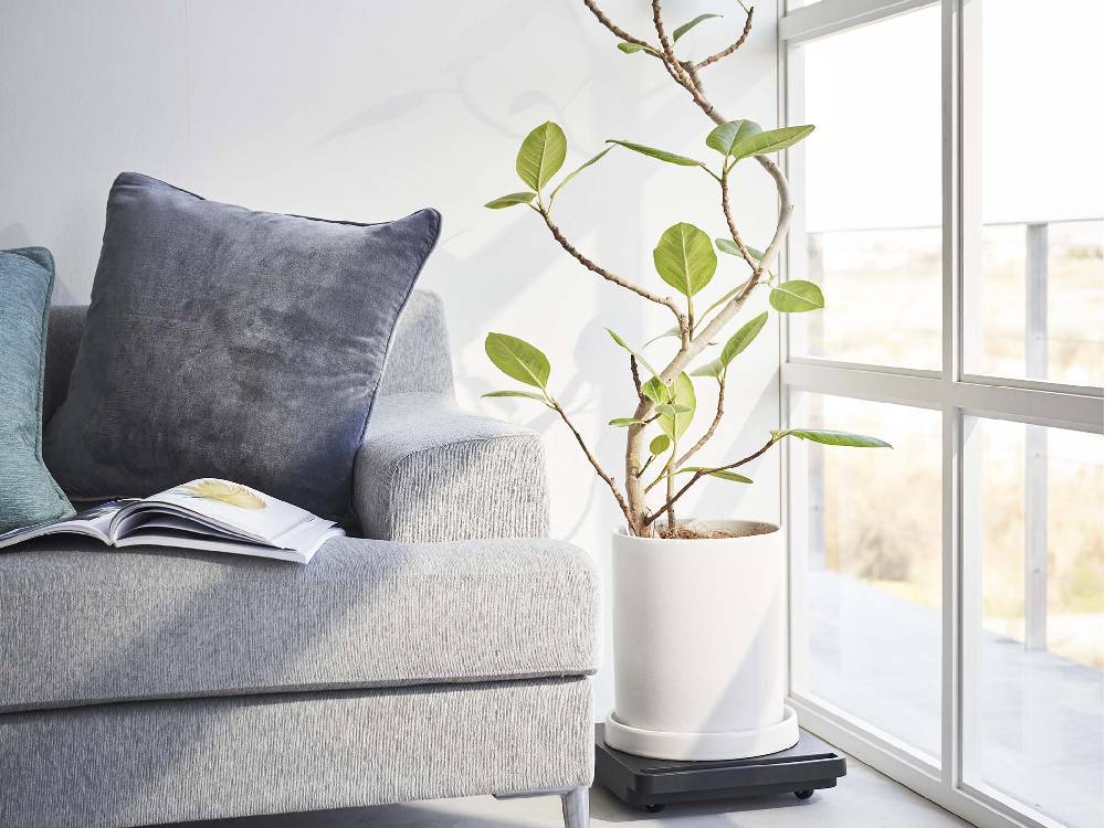 リビングルームに自立する正方形台車「tower」が配置され、花鉢や家具、ランプなどと調和したインテリアが演出されています。