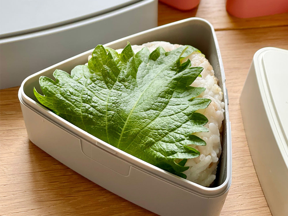 GEL-COOLトライアングルランチボックスにおにぎりと新鮮な野菜が入っている