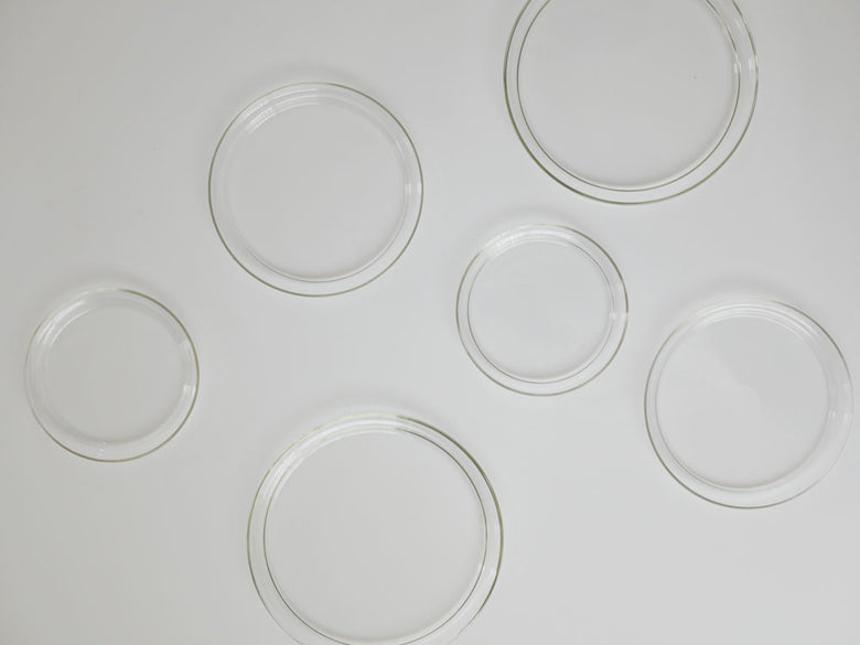 ドイツ製ホウケイ酸ガラスの透明な「Glass Plate」小型サイズ。ペトリ皿や実験器具と共に展示されている製品写真。