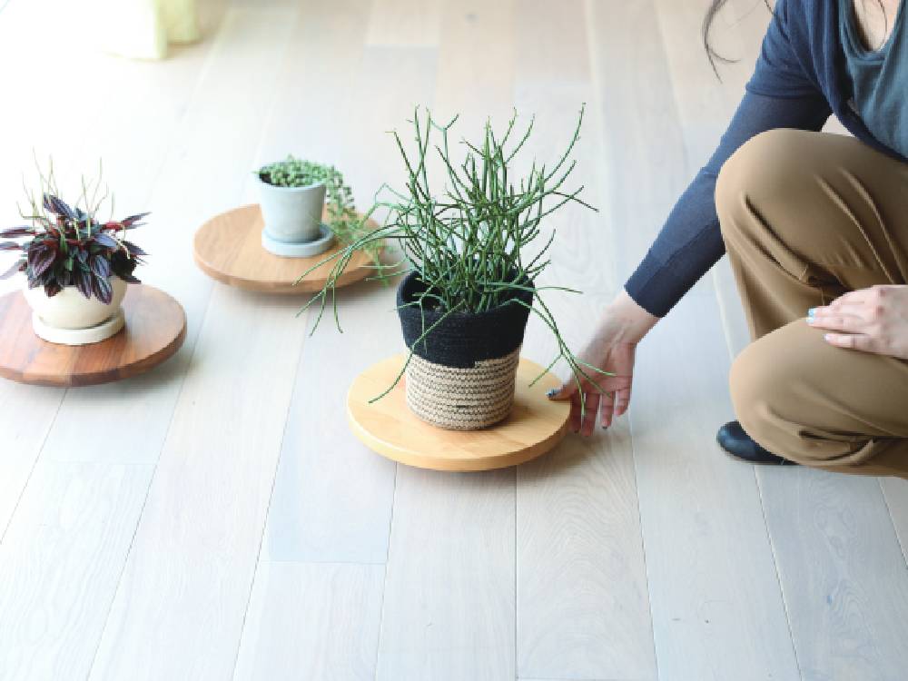 高野木工のPLANTER BASEシングル24ホワイトオーク、木製の床に置かれた鉢植え付き