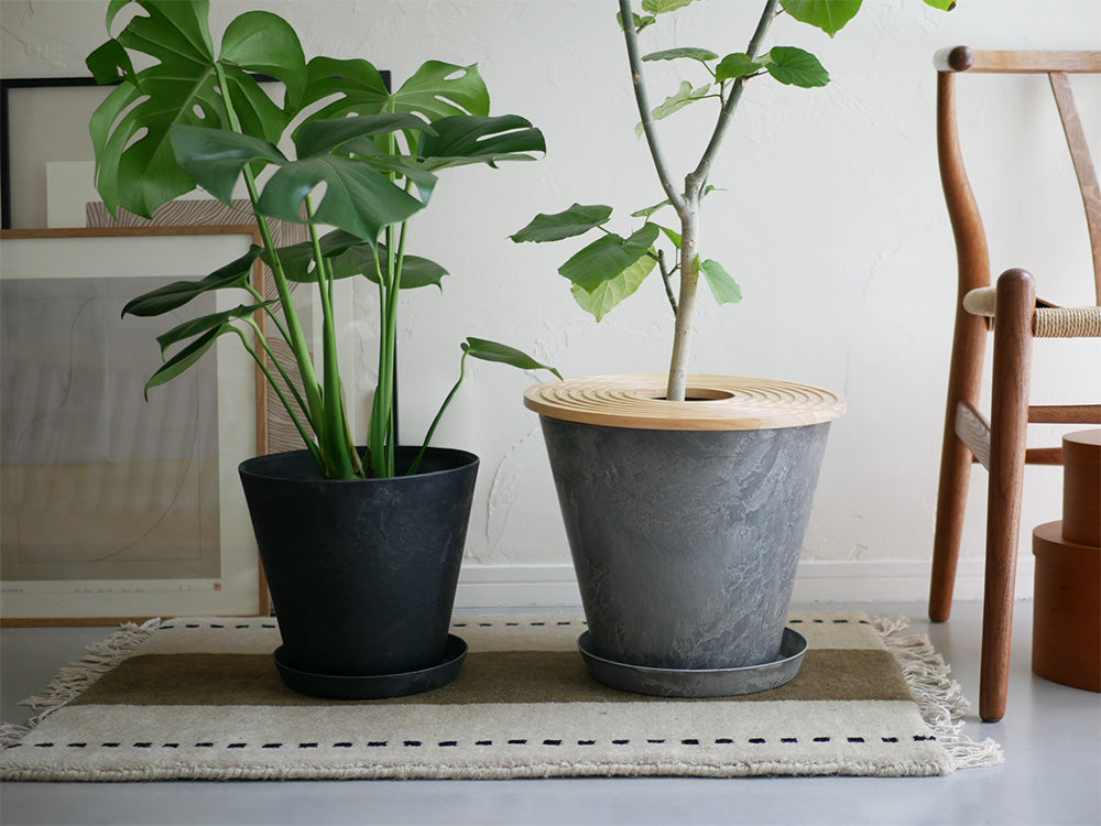アマブロ製の天然素材ストーンパウダーとポリプロピレン製プラントポットに入った観葉植物とソーサーのセット