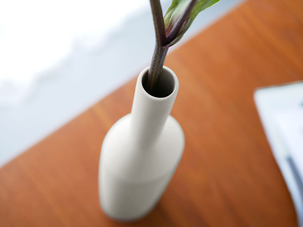 陶器製の花瓶に飾られた室内植物